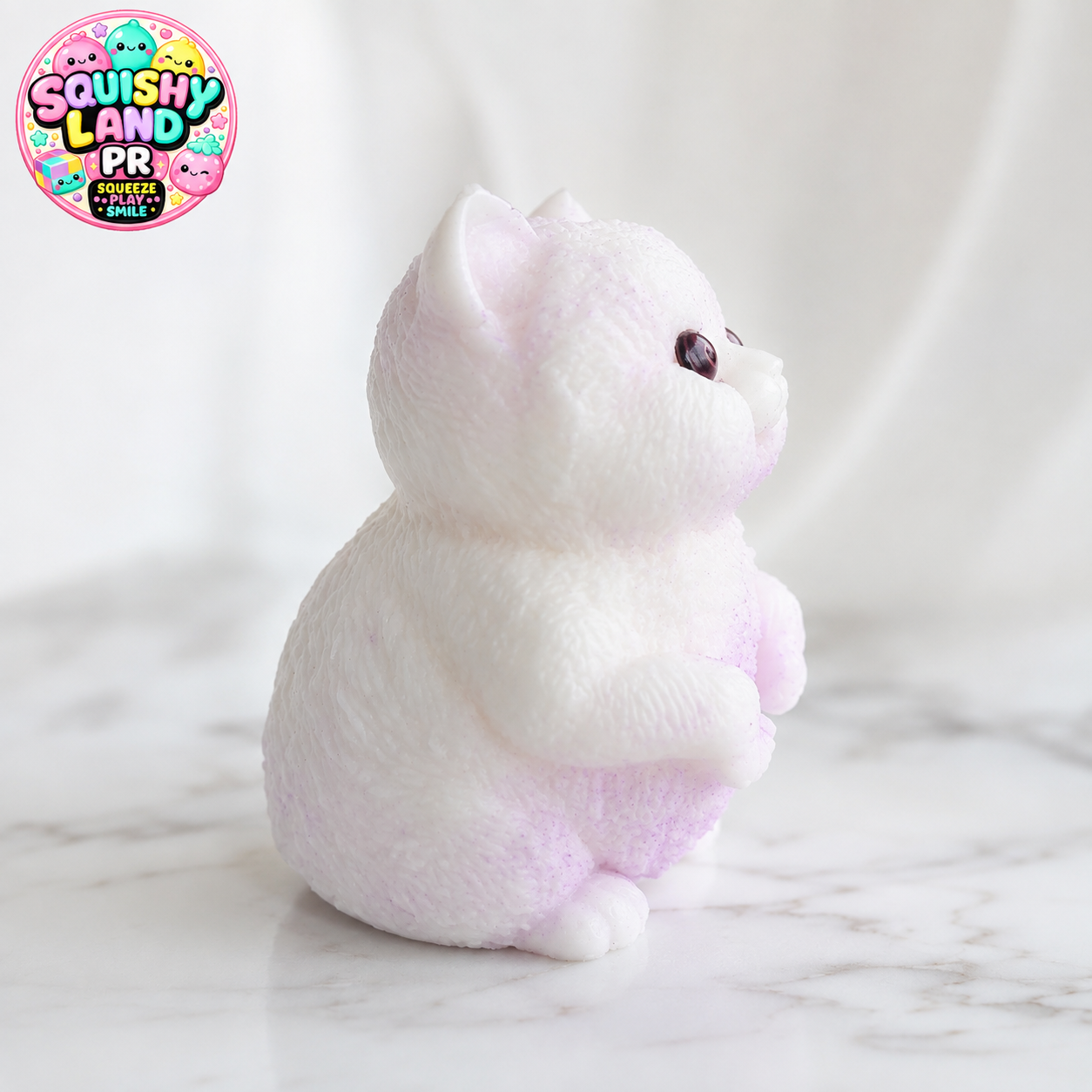 New Viral Cat Squishy | Dense TPR Decompression Sensory Toy