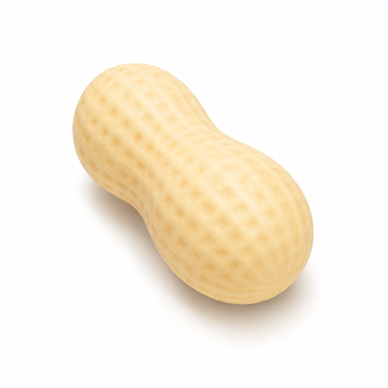 Peanut Squishy | Soft, Squeezy & Fun!