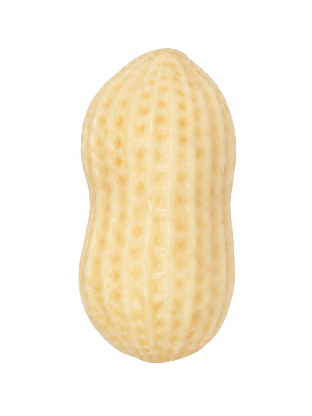 Peanut Squishy | Soft, Squeezy & Fun!