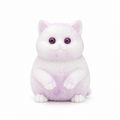 New Viral Cat Squishy | Dense TPR Decompression Sensory Toy